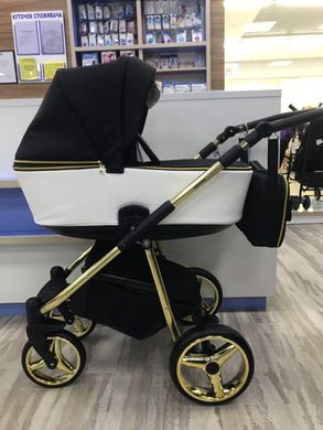 Детская коляска 2 в 1 Adamex Reggio Limited Chrom